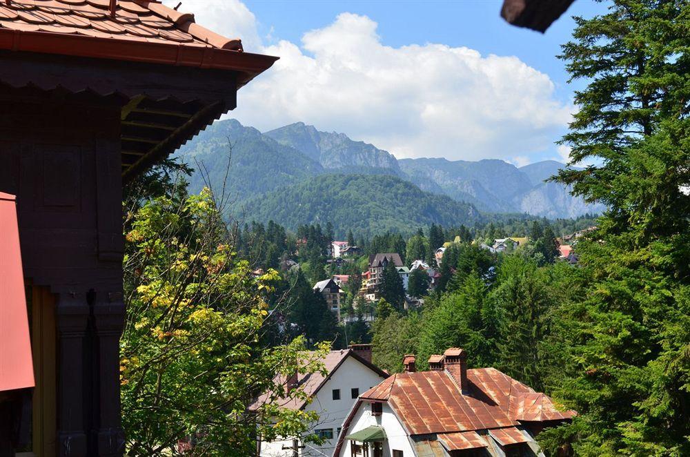Vila Arizto Sinaia Exterior foto