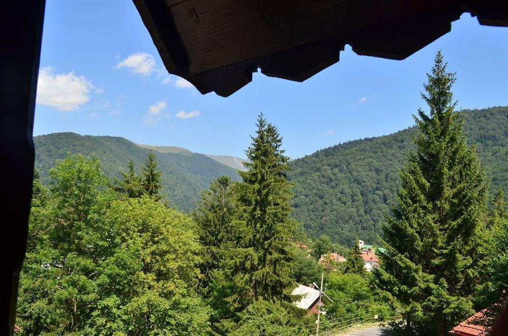 Vila Arizto Sinaia Exterior foto