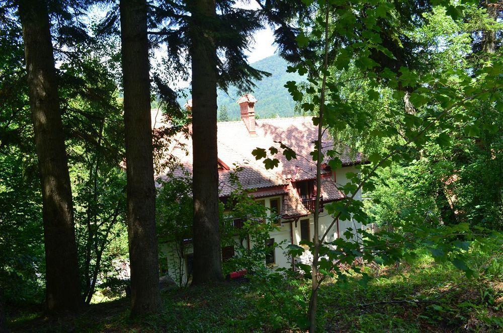 Vila Arizto Sinaia Exterior foto