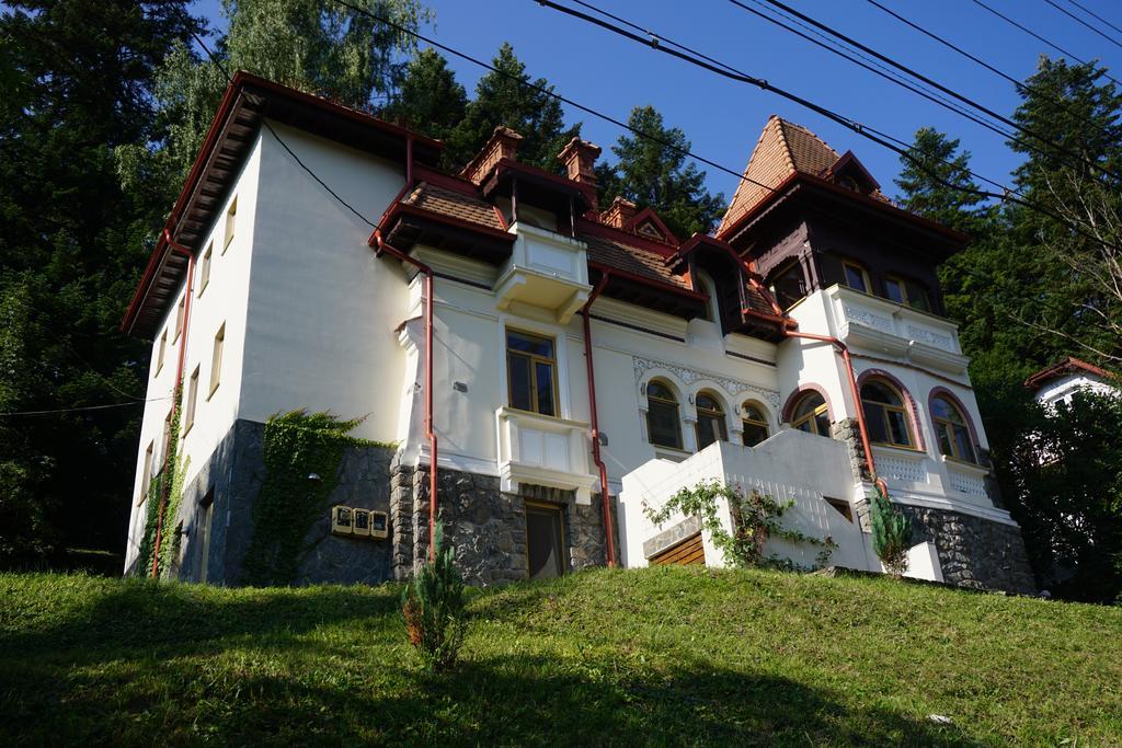 Vila Arizto Sinaia Exterior foto