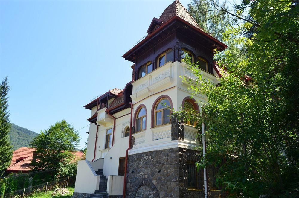 Vila Arizto Sinaia Exterior foto