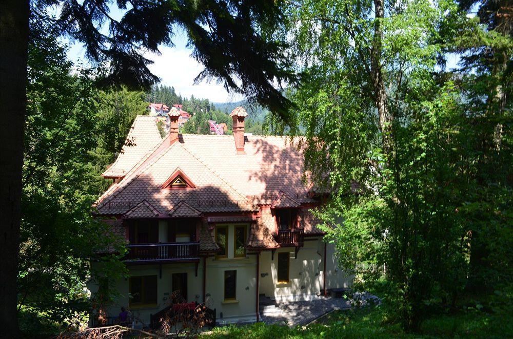 Vila Arizto Sinaia Exterior foto