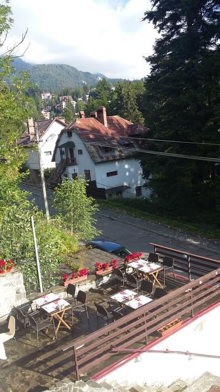 Vila Arizto Sinaia Exterior foto