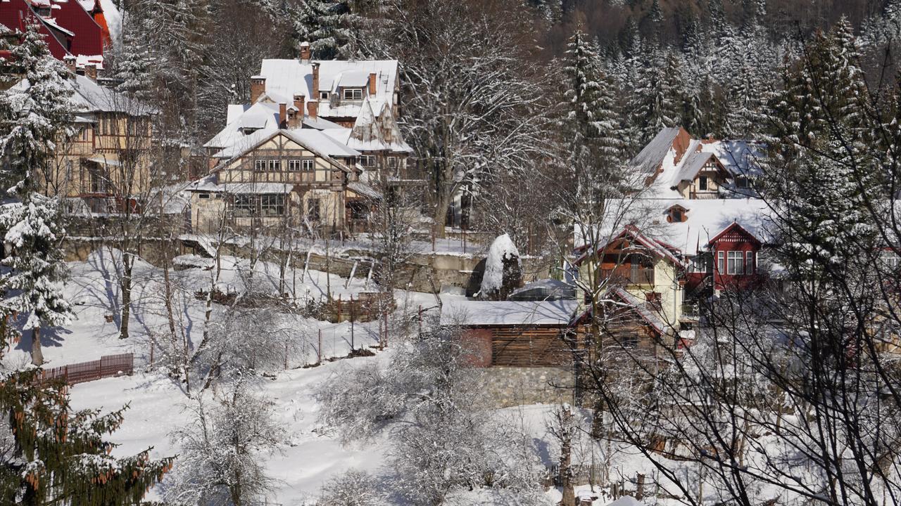Vila Arizto Sinaia Exterior foto