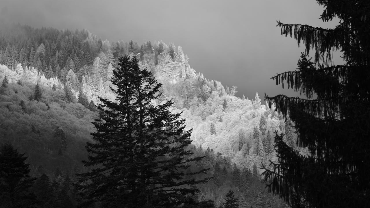 Vila Arizto Sinaia Exterior foto